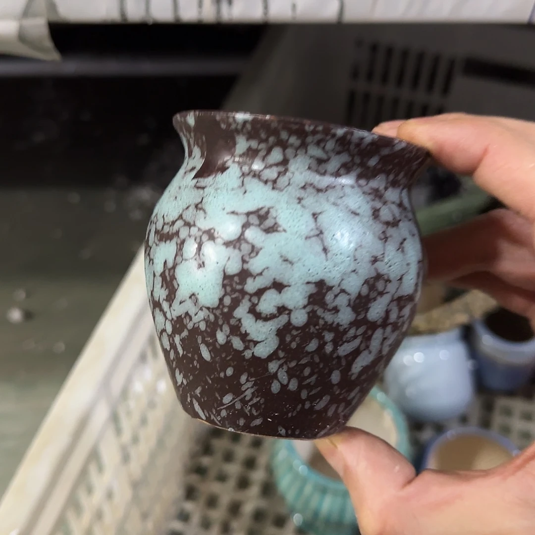 福利局绿植多肉盆［凑9元包邮24小时发］9314