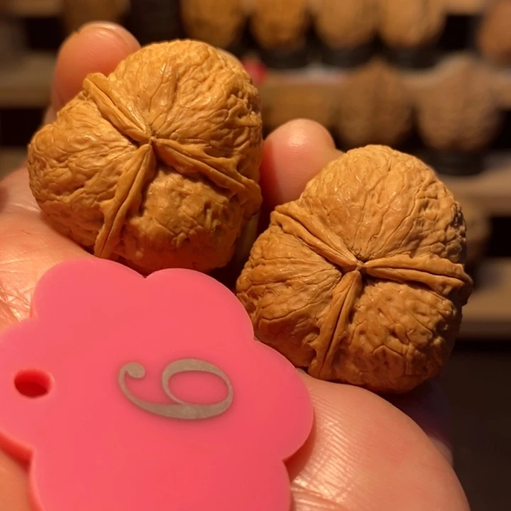 木质类蚂蚁三棱32尺寸