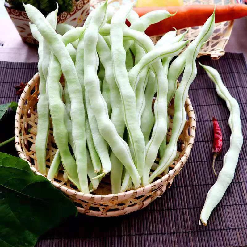 白不老豆角 炖菜超好吃