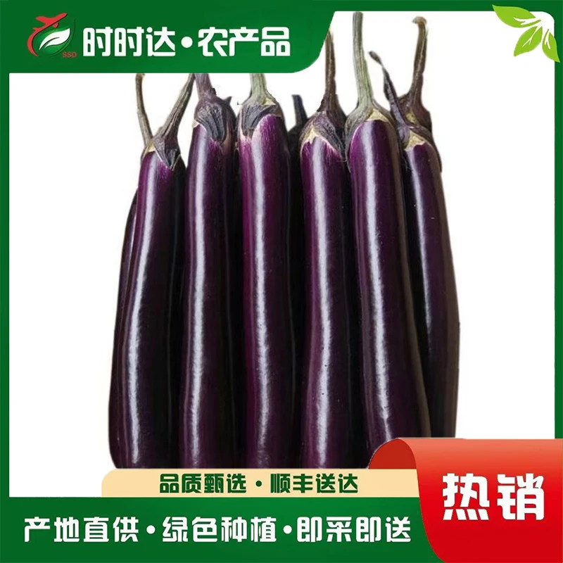 本地紫茄子，新鲜采摘，300g±30g/份