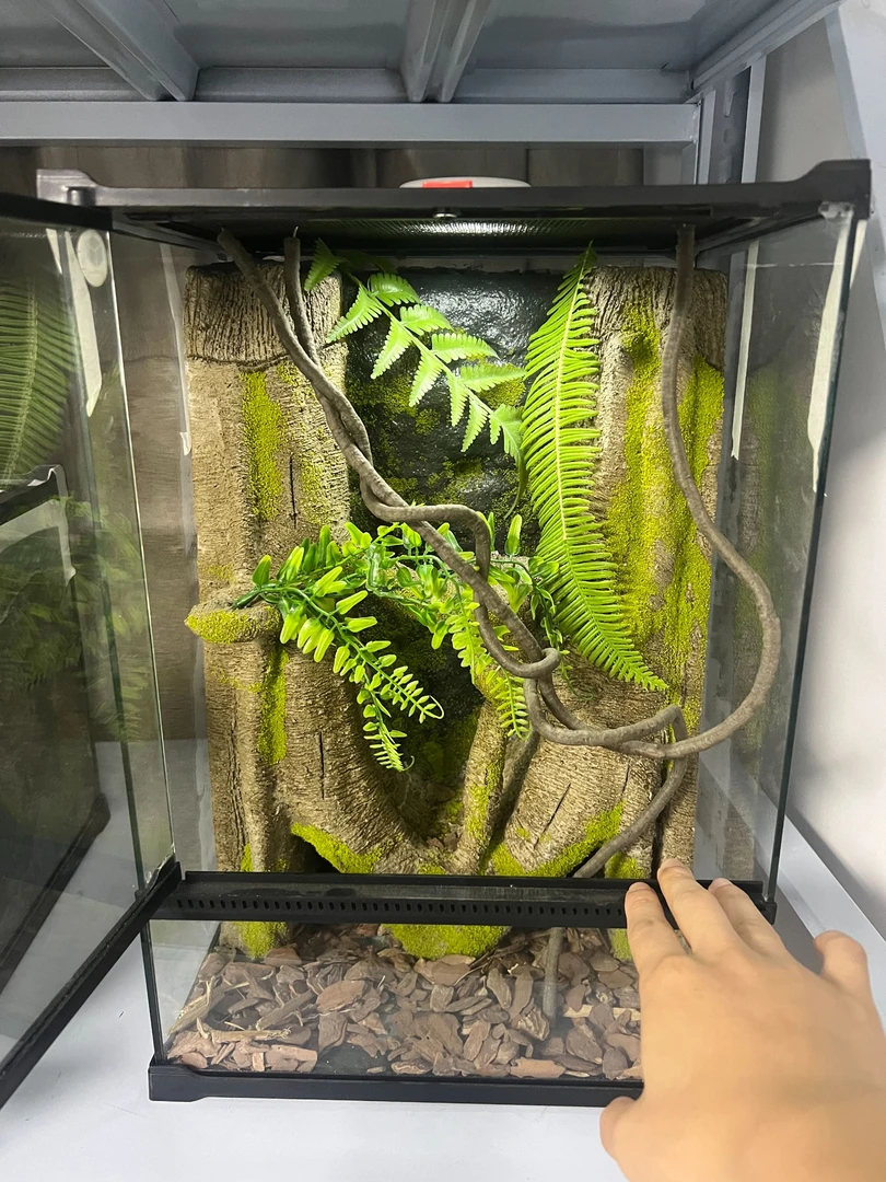【长30宽25高42】爬宠造景缸睫角守宫树栖蜘蛛饲养箱爬宠爬虫缸