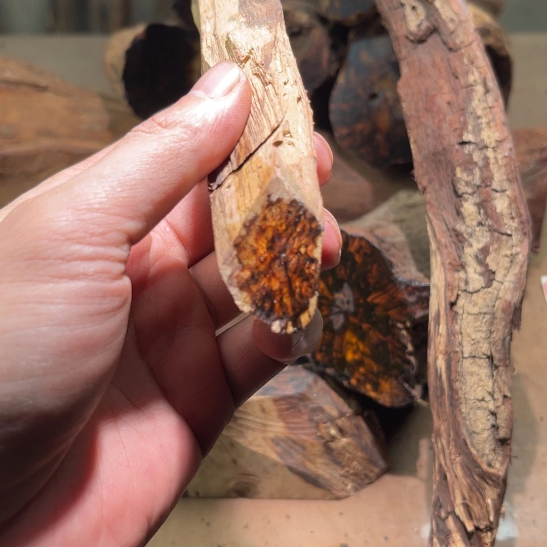 用***8花梨木类龙肝香1.5圆珠一串