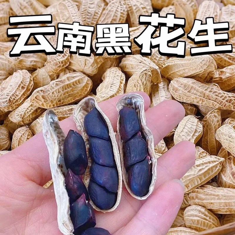云南富硒带壳黑花生坚果零食可煮粥养胃特产