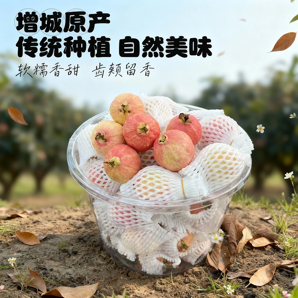 顺丰包邮增城胭脂红鸡屎果番石榴儿时味道软糯香甜新鲜水果1斤2斤