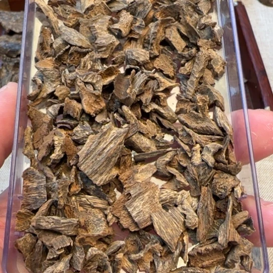 沉香摆件海南野生鸡母虫10克