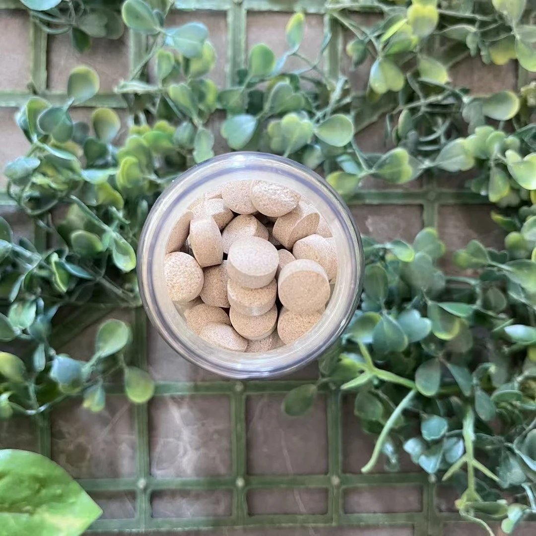 雨腾古茶 “浩”无字版 协H 白珍珠“GD”60g/盒（12月24）