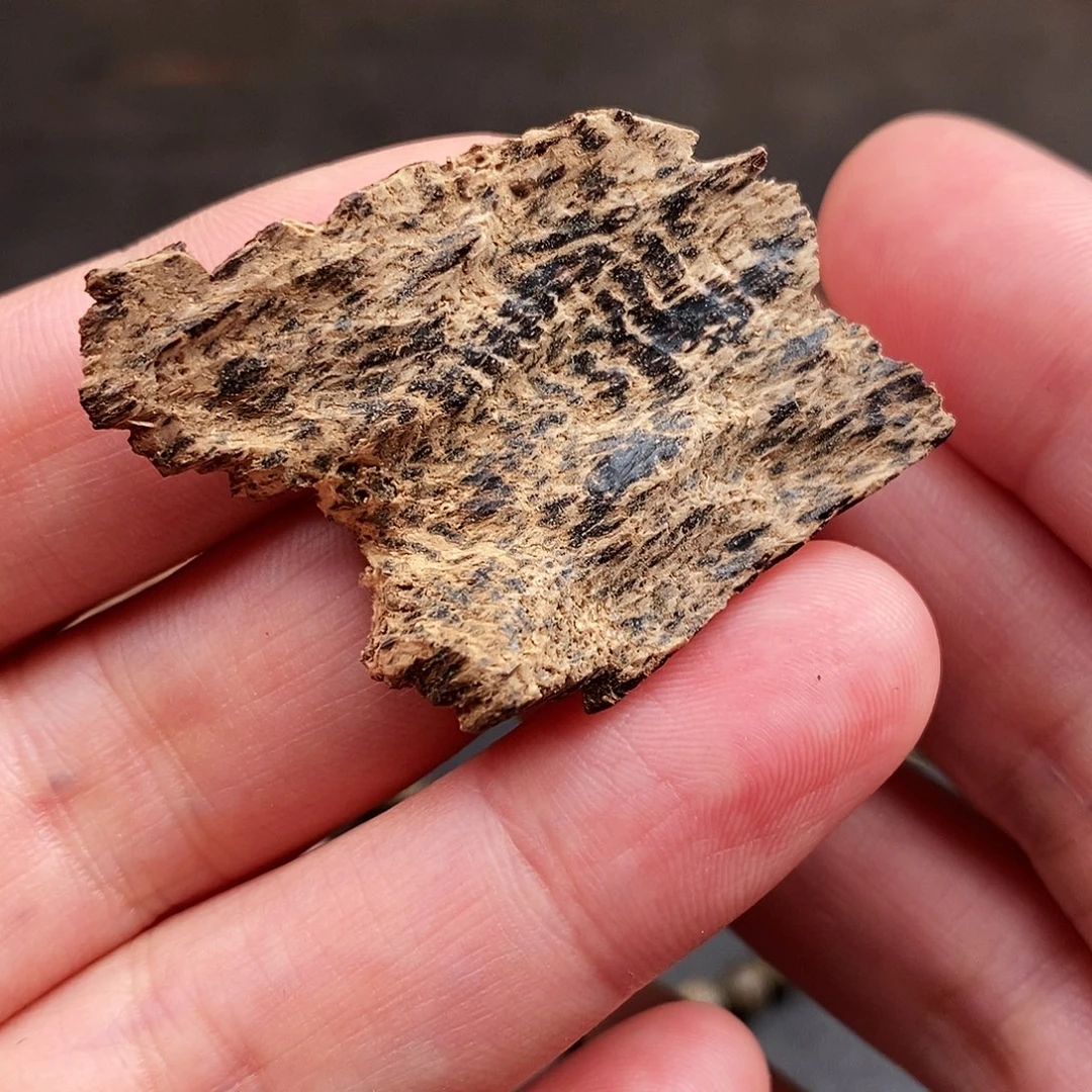 沉香沉香枕海南沉水鹧鸪斑1.88