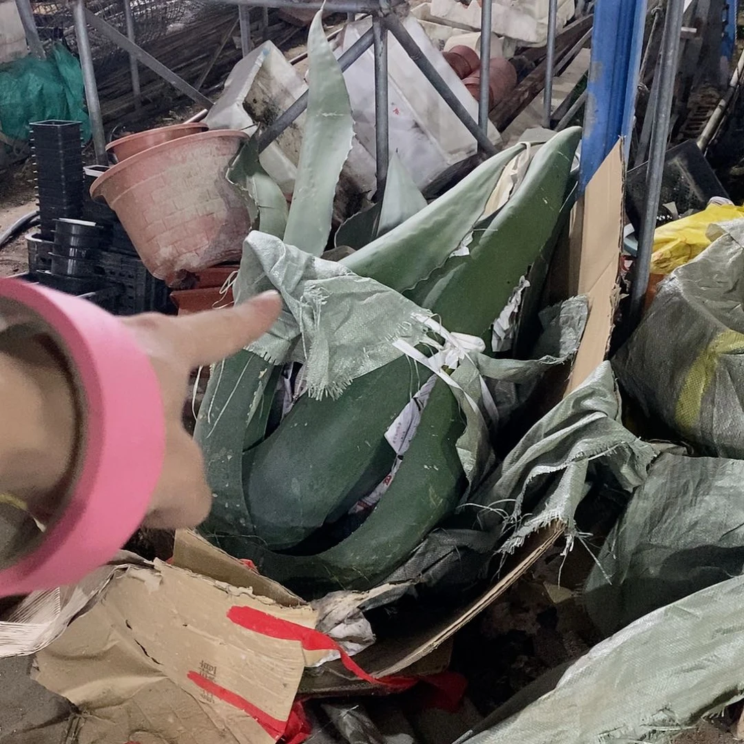 概***计巨魔龙一颗1615111111