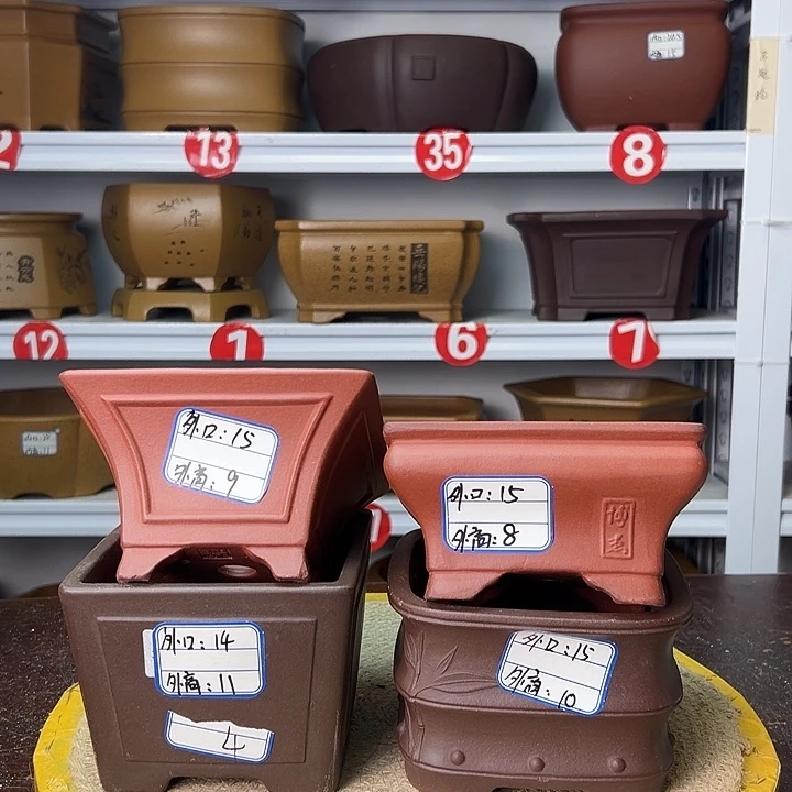 花盆紫砂你在一起