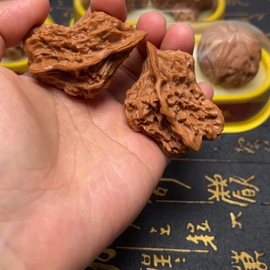 异性小鸟已经打底