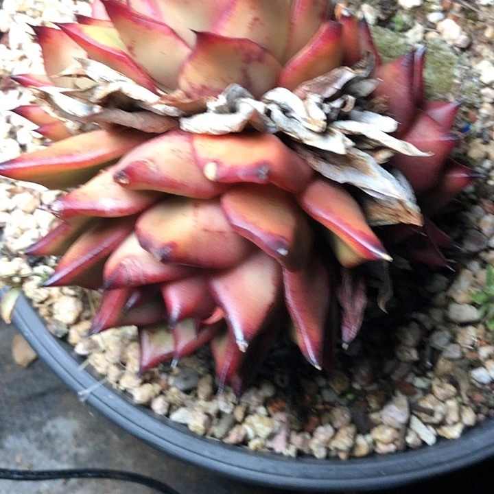 读*24/////////////////