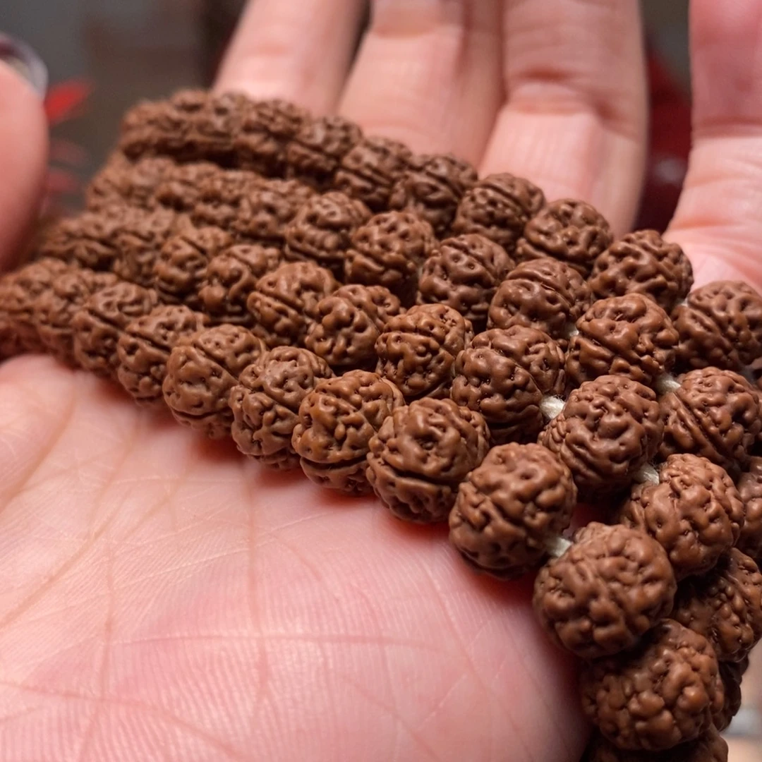 。***菩提籽类老树王长串