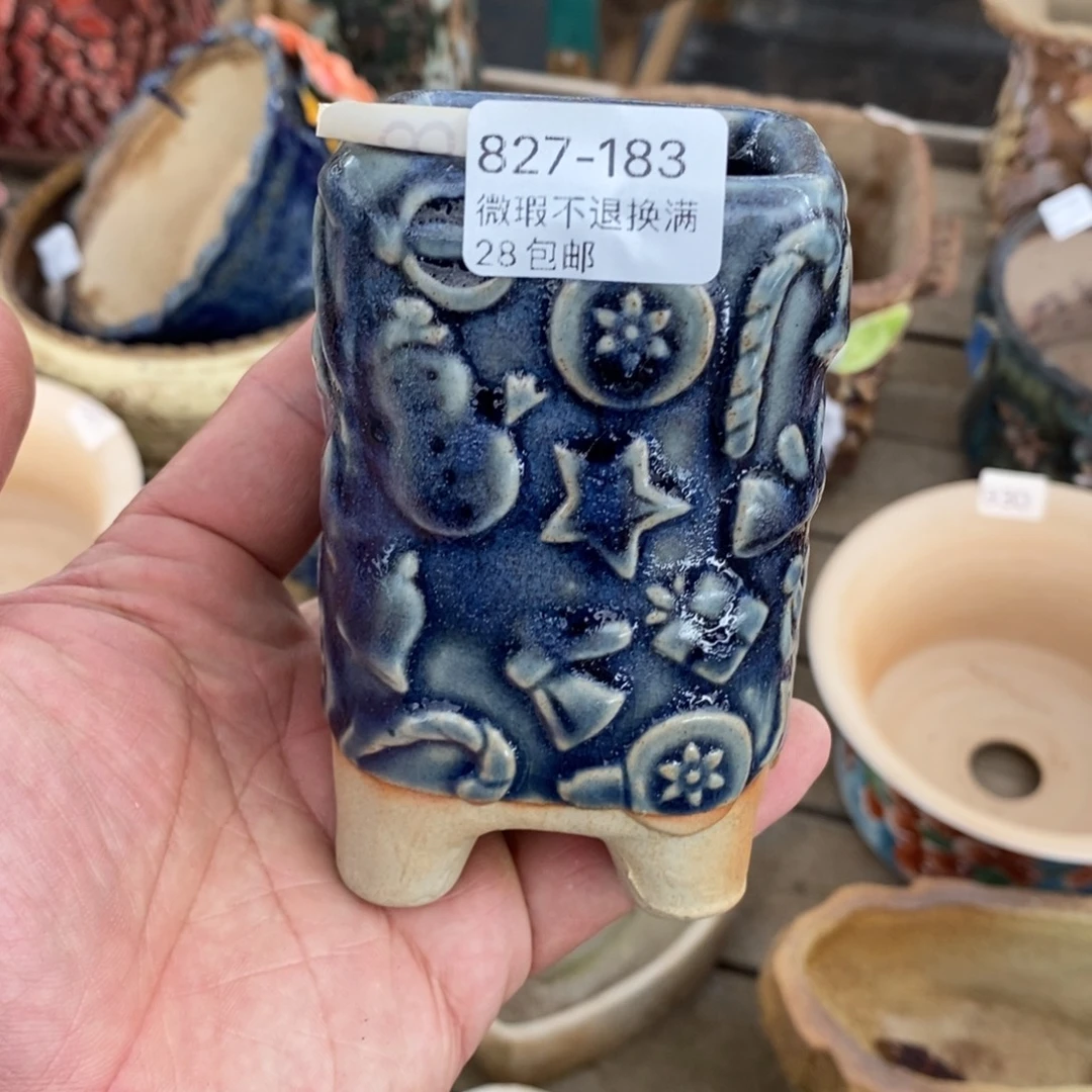 183号花盆内5:5高11