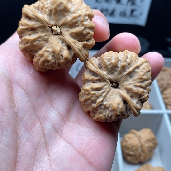 文玩核桃把件可*蛤蟆