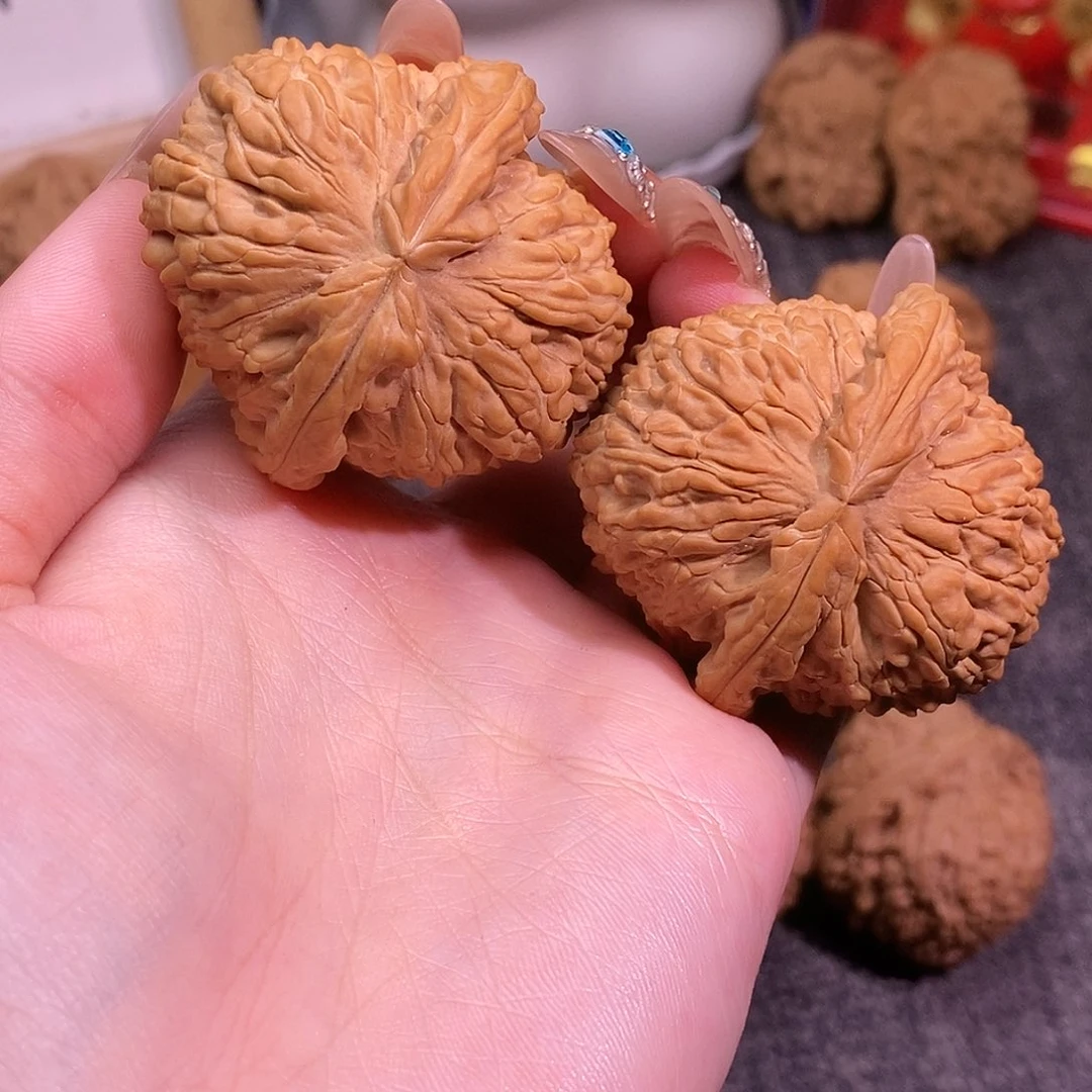 42尺寸白狮子 文玩