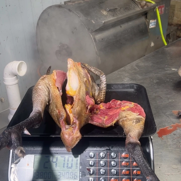 包装一号土鸡中国大陆L**•