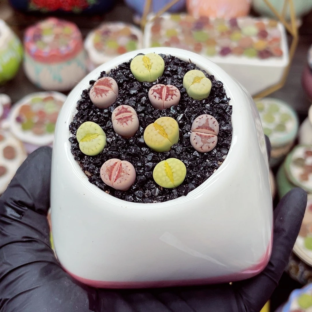 郎哥18包邮0610-128