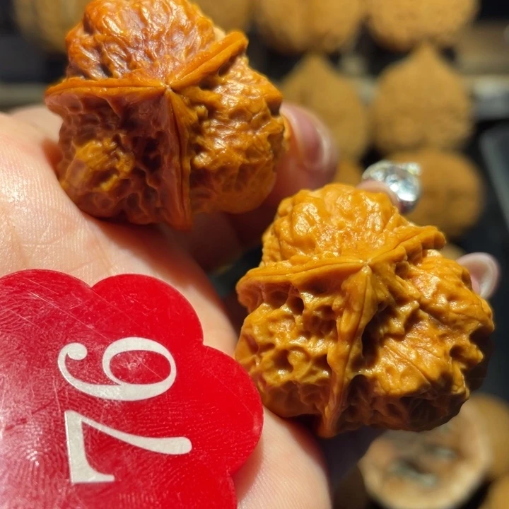 七彩糖三角核桃尺寸33