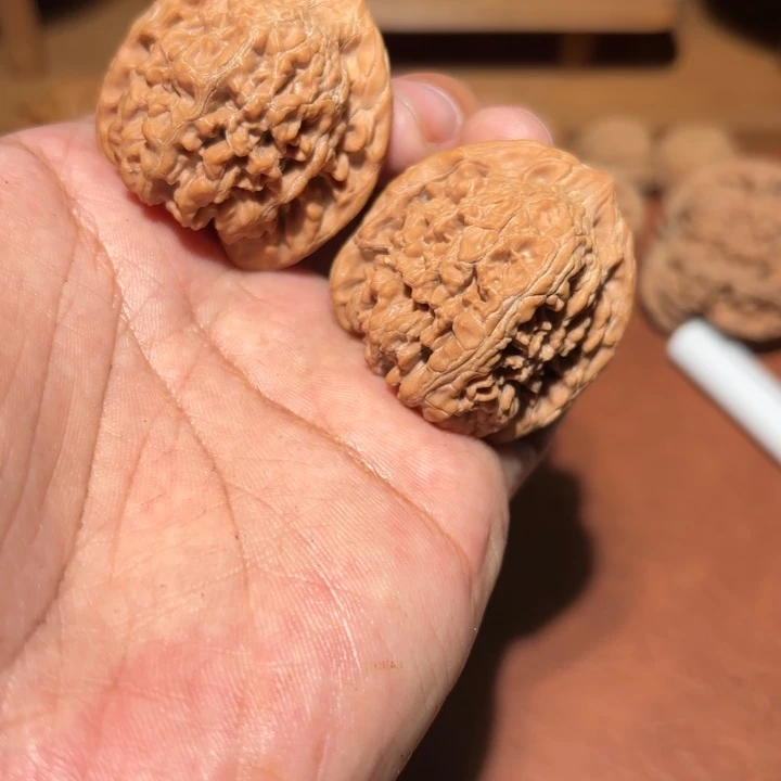核桃百花山满天星