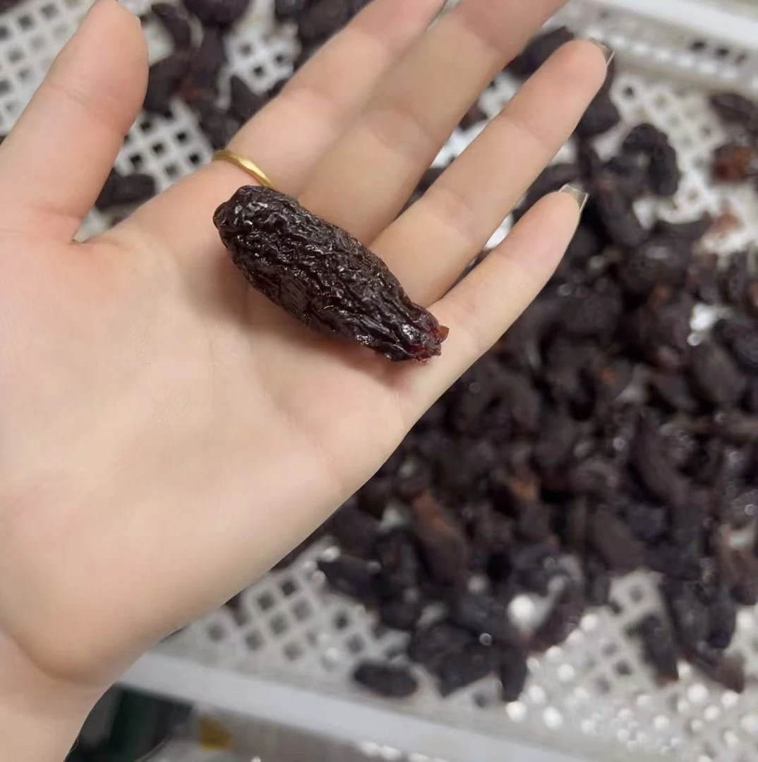 圣女果干自然晒干新疆特产女神果干必备零食 大颗粒