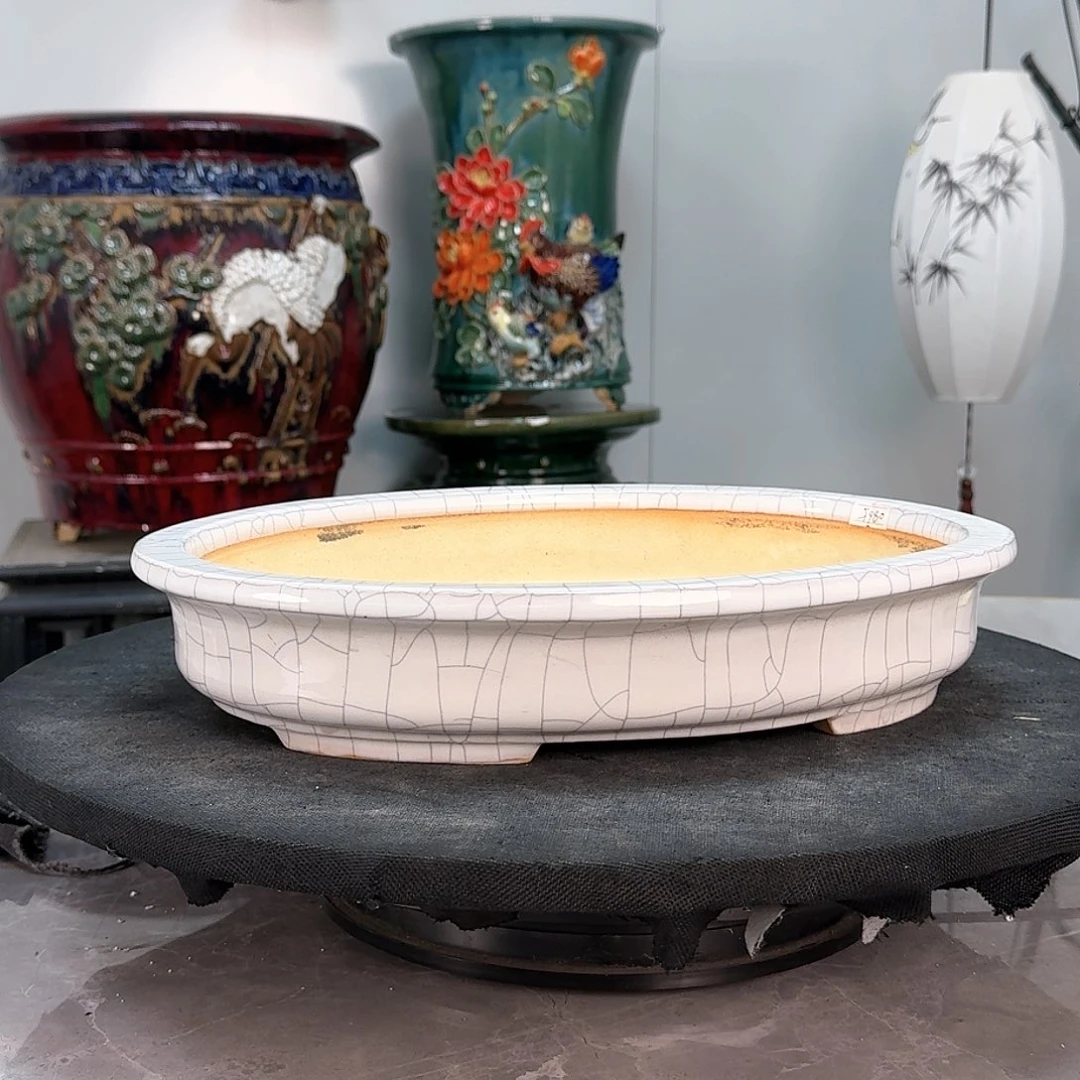 红陶斌*绿植花盆