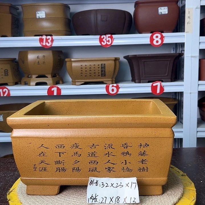 花盆紫砂你在一起