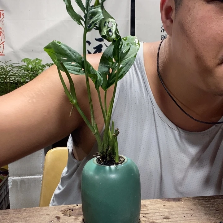 退款拉黑一物一拍347