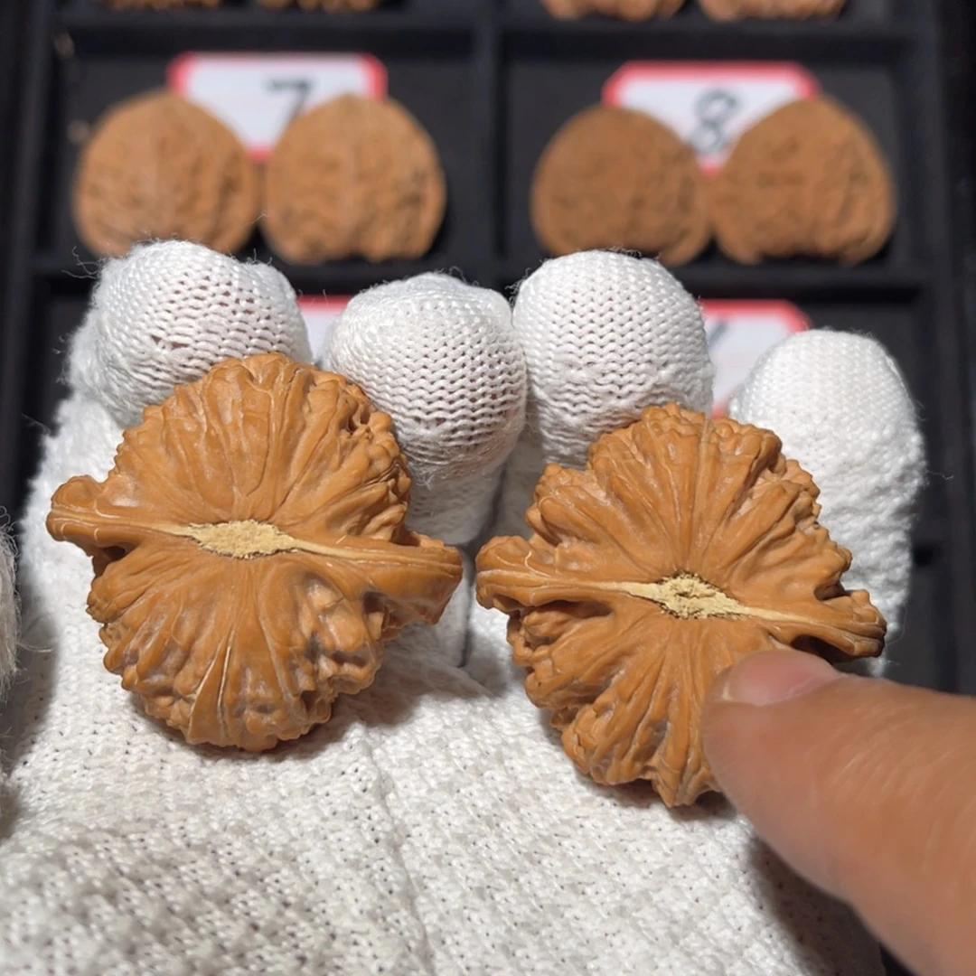 那***电吊坠文玩核桃03秦皇岛山地果全品