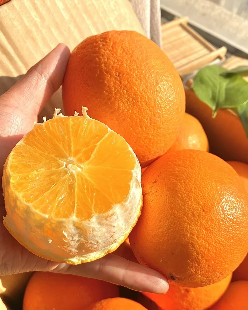【20斤装】江西正宗赣南脐橙新鲜当季水果自家果园直发