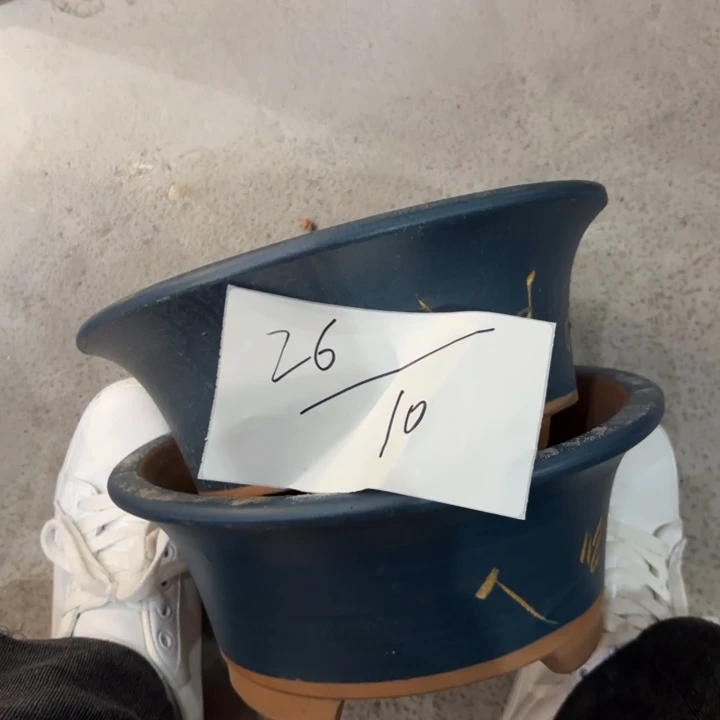 花盆紫砂紫砂的颜色