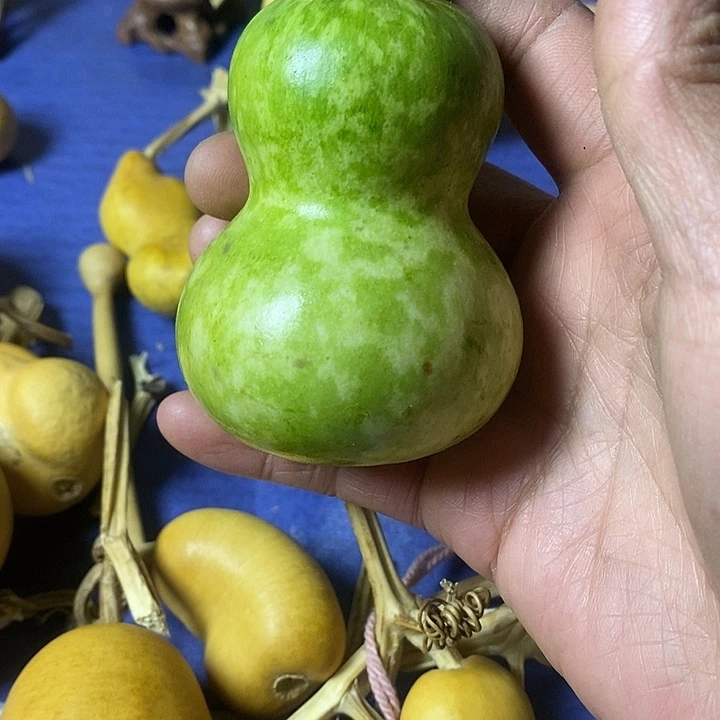 ᰔ****葫芦手把件葫芦摆件