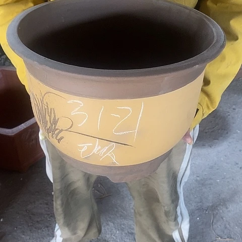 紫砂中国宜兴紫砂花盆，