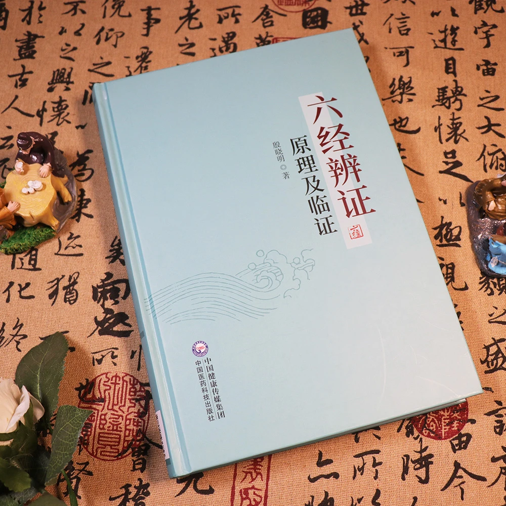 【天地合】六经辨证原理及临证 殷晓明六经生理病理与证治方法中医