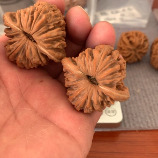 文玩核桃吊坠飞*将楼子