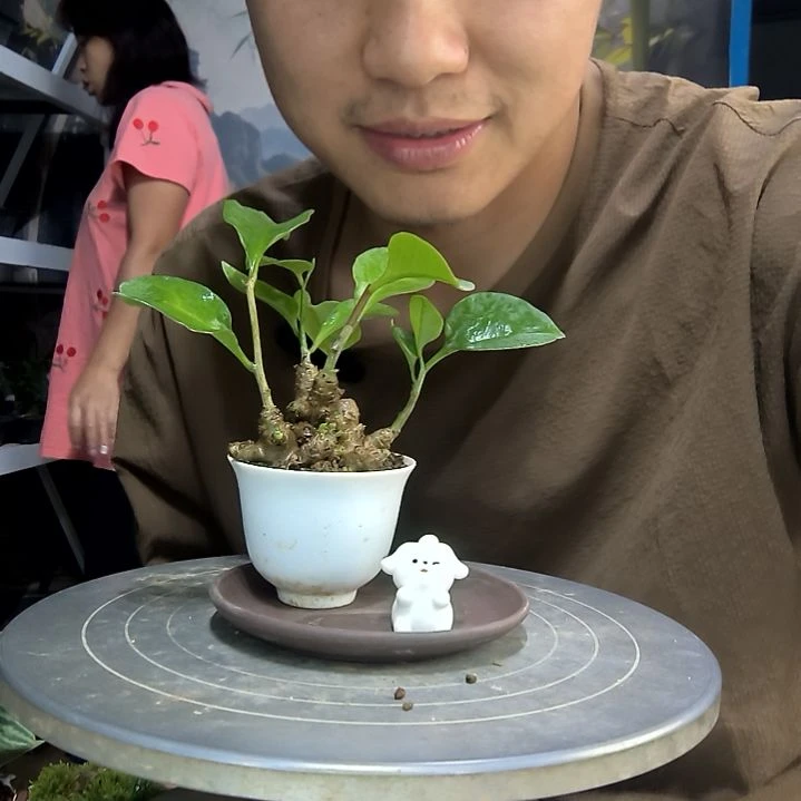 我***饭中青园艺一物一拍202