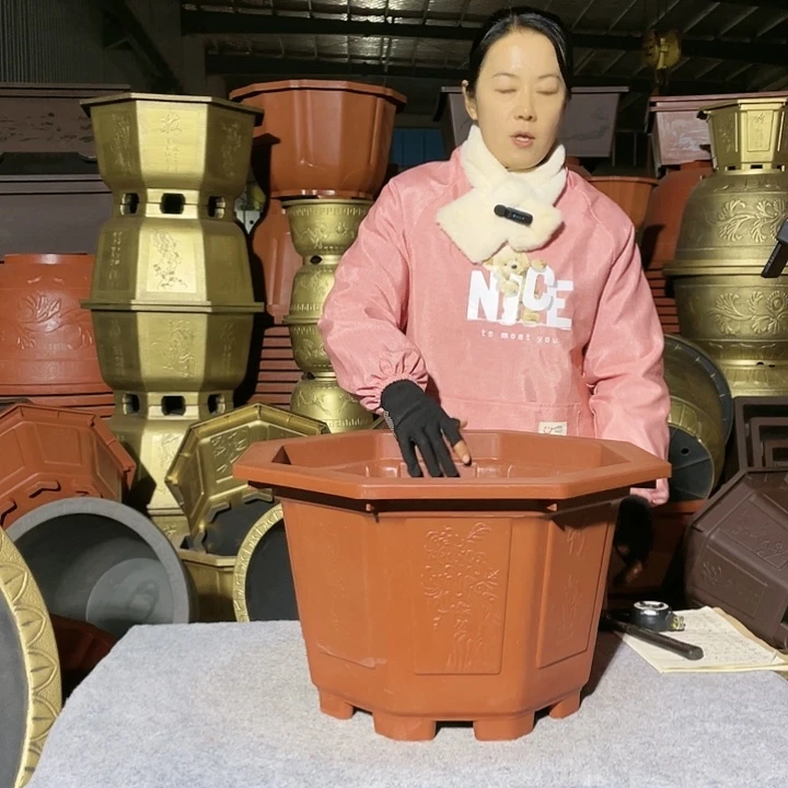 八角两个红色五零