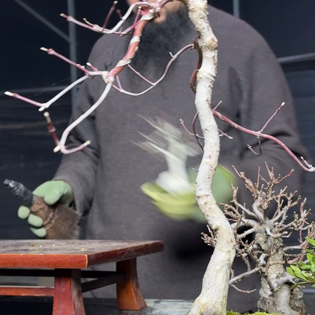 红陶用****812顺丰到付。