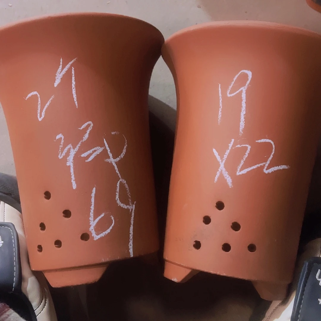 紫砂69………………………………