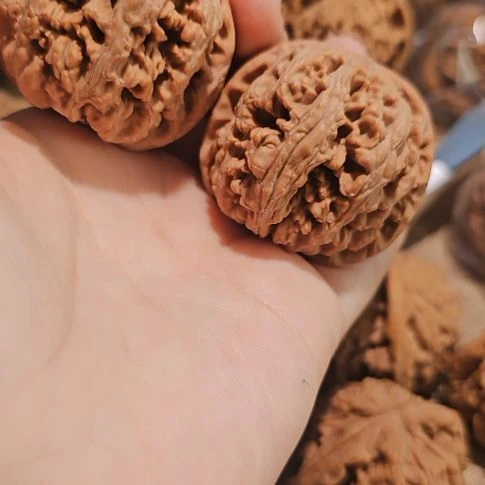 文玩核桃吊坠43粗筋