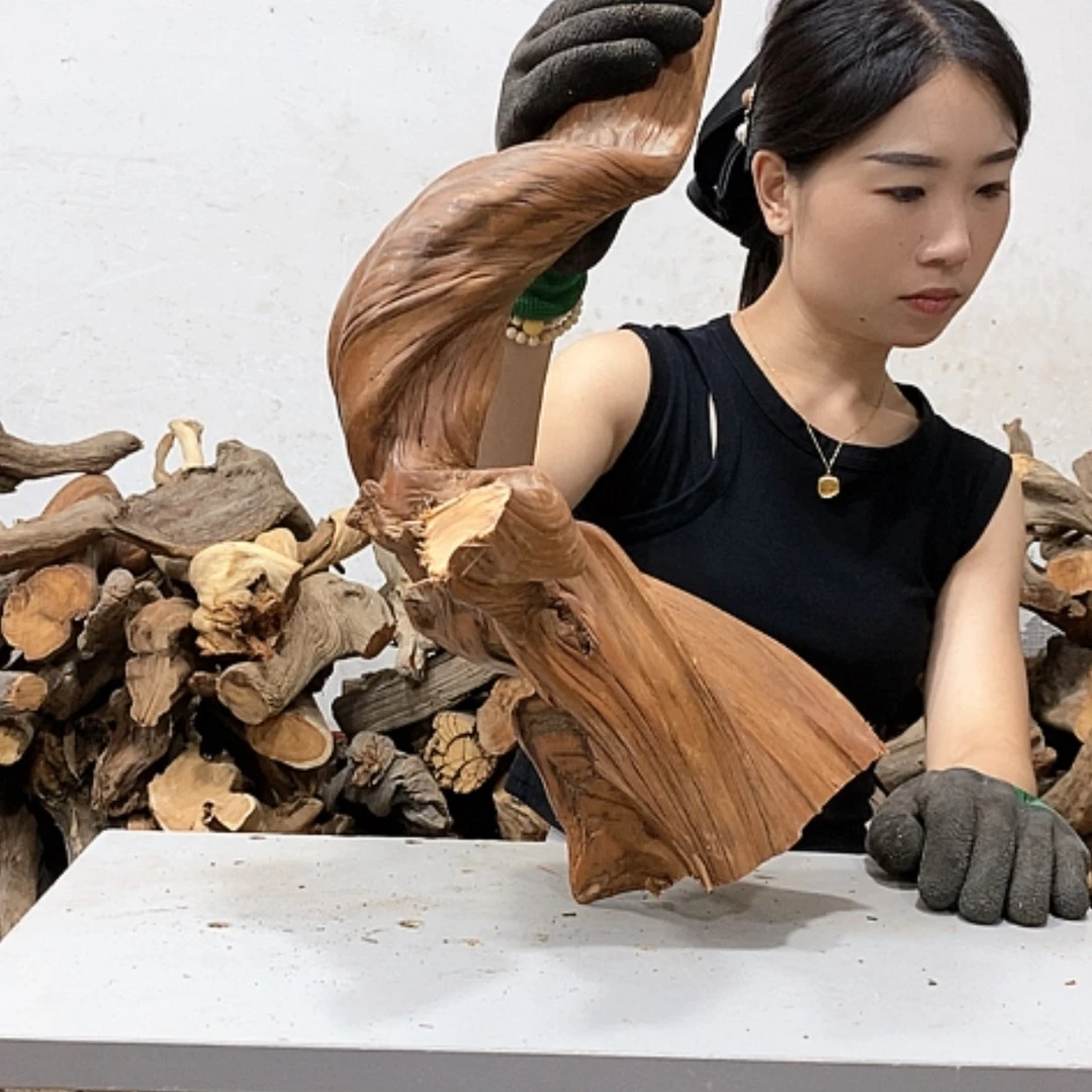 【闪购商品】柏木信*我们都是好孩子