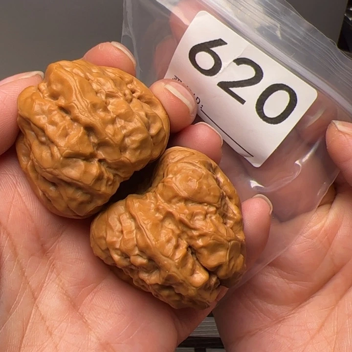 核桃40边44肚620号