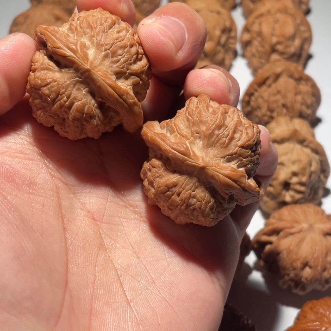 核桃手串/手链血麒麟39