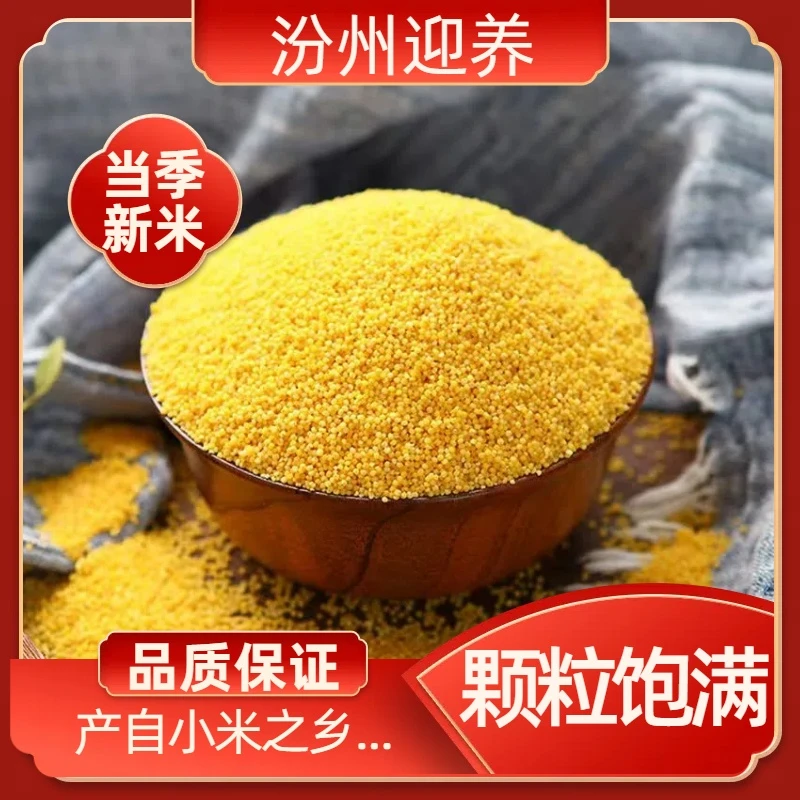 山西优质黄小米新鲜农家五谷杂粮营养健康月子米煮粥粗粮