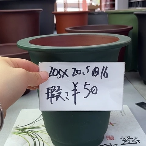 紫砂585258565856578655