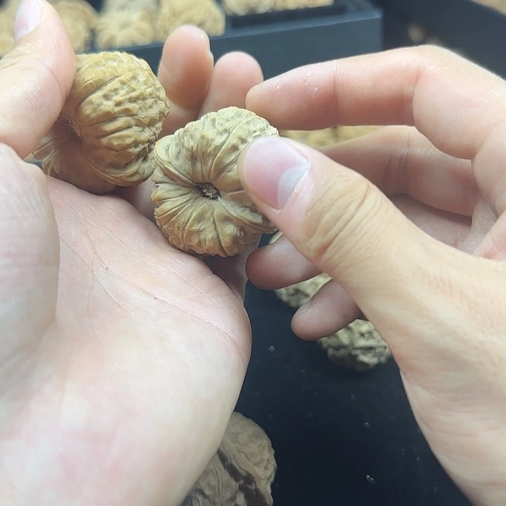 乾***财龙脊菩提吊坠啊啊啊啊啊啊啊南瓜11