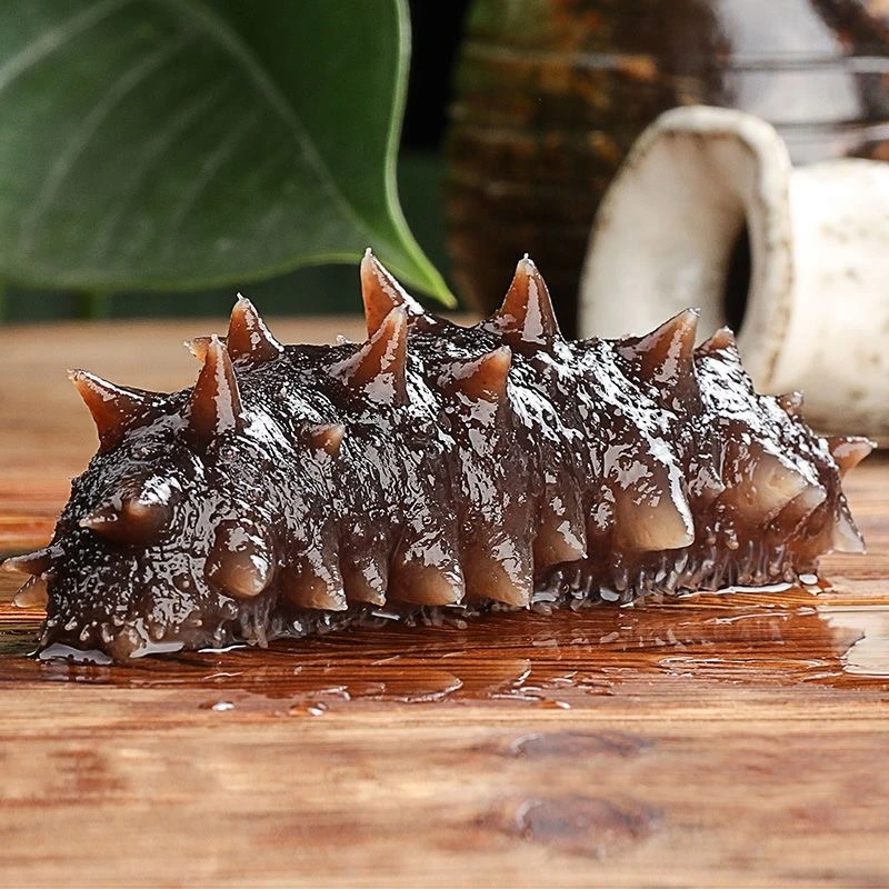 即食海参10-15 头 个头精美营养价值高