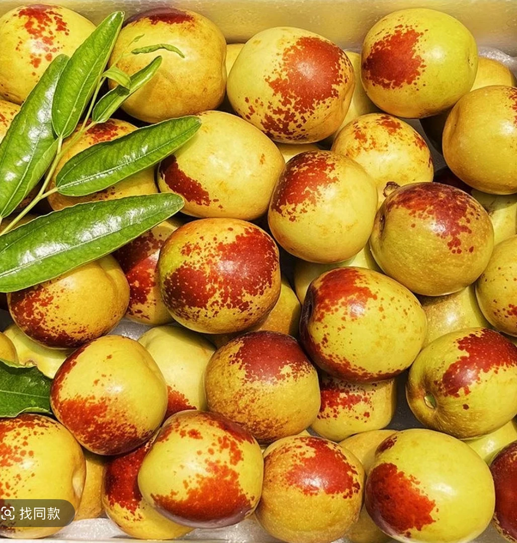 【顺包邮】陕西大荔冬枣新鲜当季现采现发脆甜水果