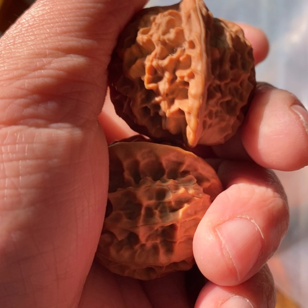 秦岭山脉东面临渤海边缘