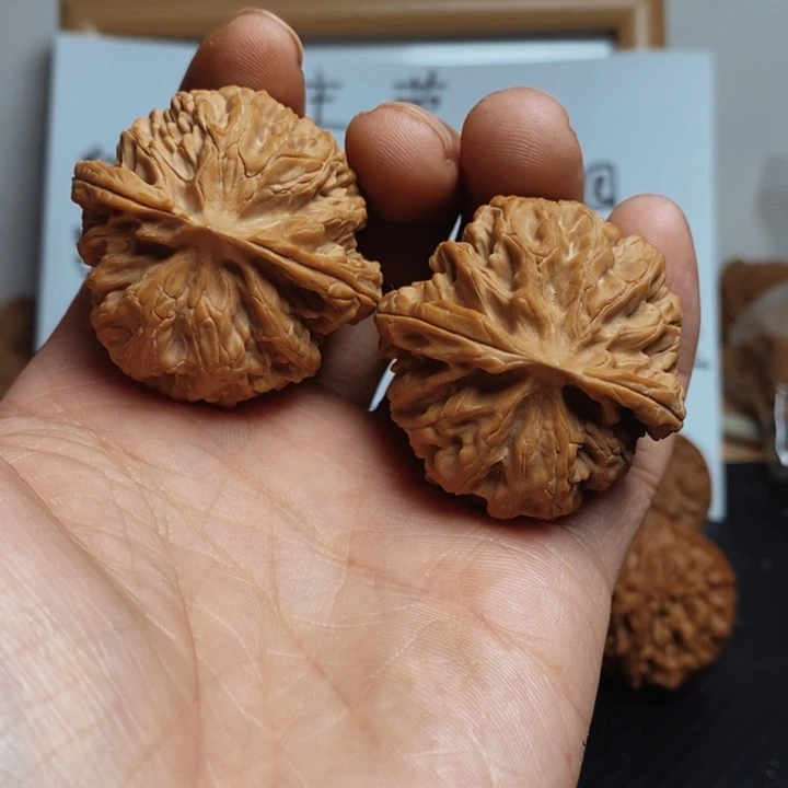 核桃41+尺寸苹果园一对