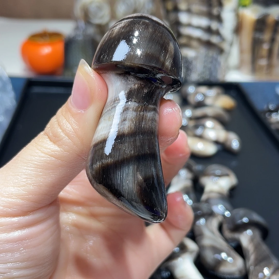 黑金刚福利蘑菇蘑菇